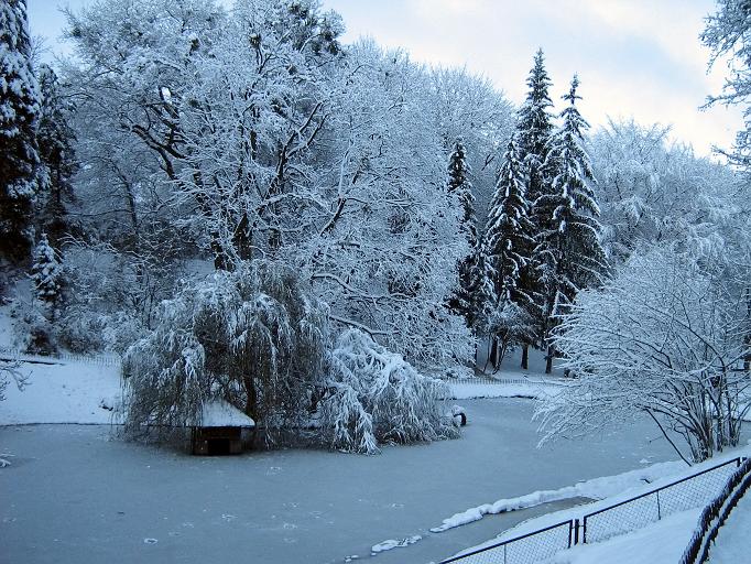 Фотографія А лебедів нема... / Орест Якобчук / photographers.ua