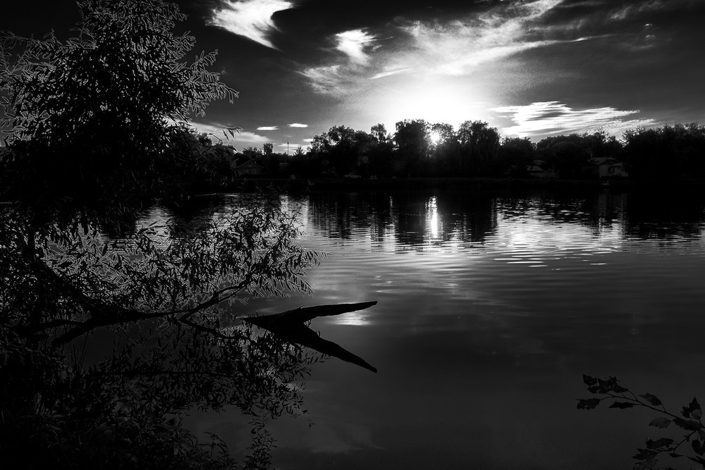Фотографія крокодил и солнце / Grigoriy23 / photographers.ua
