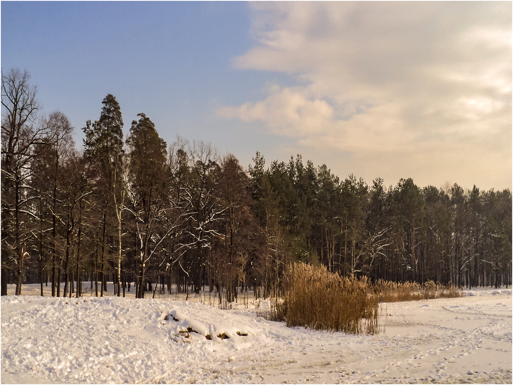 Фотографія Спокойный зимний день... / Сергей Ситников / photographers.ua