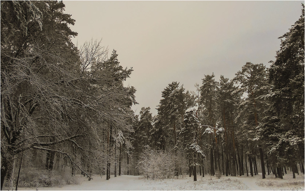 Фотографія Строгая зимняя панорама... / Сергей Ситников / photographers.ua