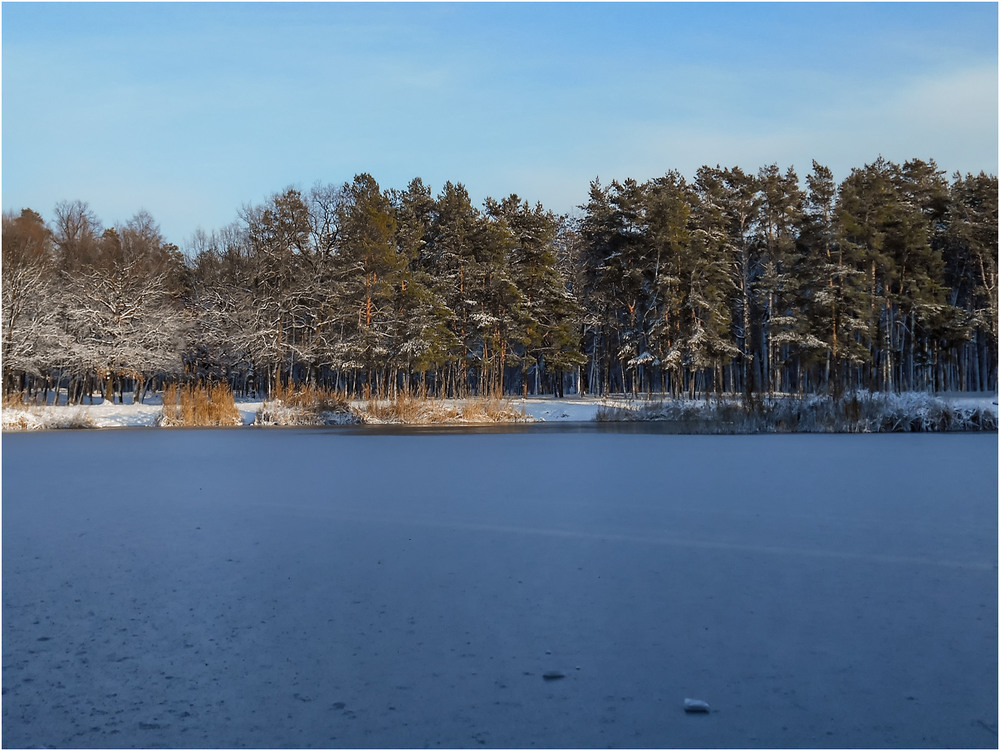 Фотографія Зимняя картинка парка... / Сергей Ситников / photographers.ua