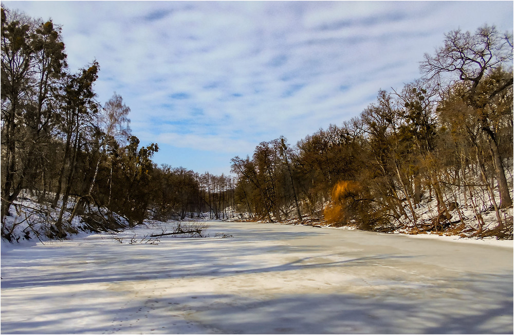 Фотографія Зимний пруд в хороший день... / Сергей Ситников / photographers.ua