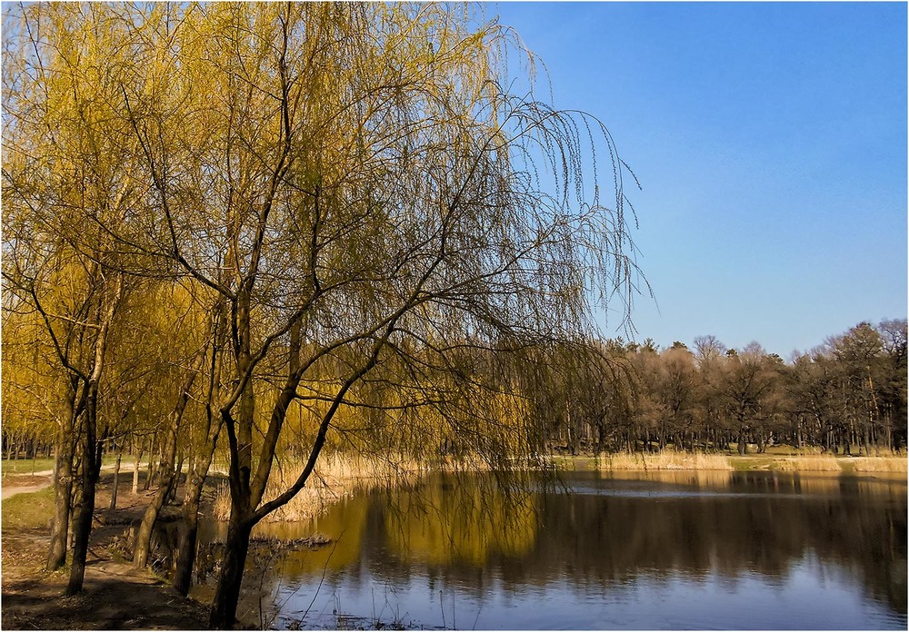 Фотографія Разгулялась осень на пруду... / Сергей Ситников / photographers.ua