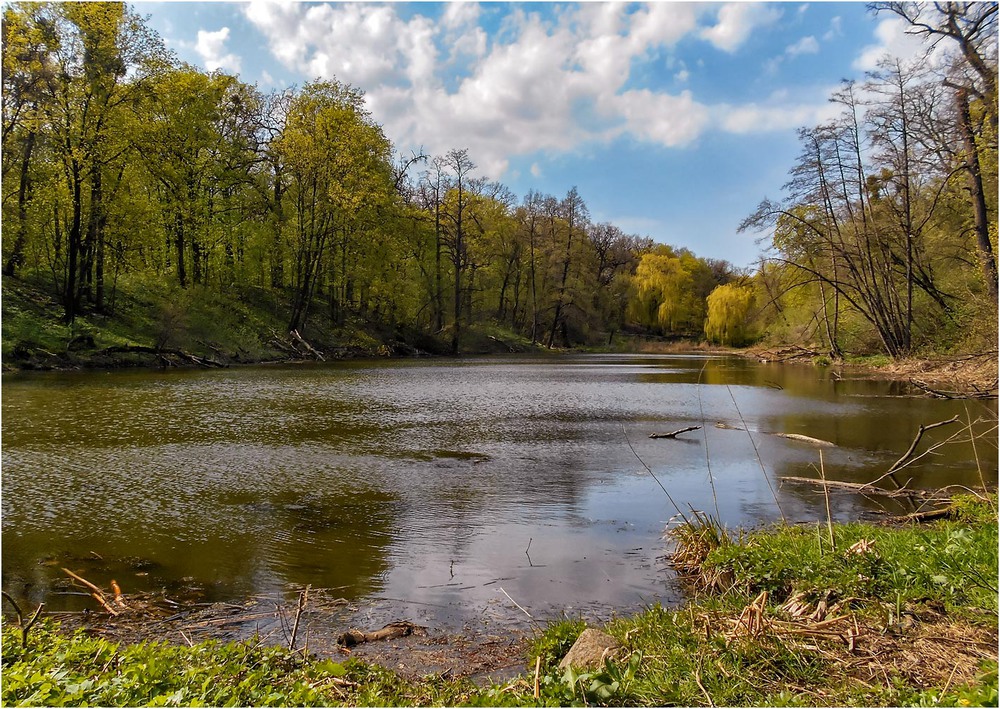 Фотографія Природный весенний пруд... / Сергей Ситников / photographers.ua