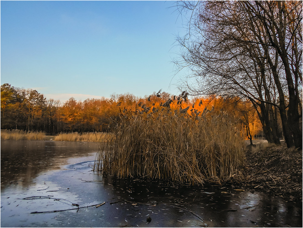 Фотографія Декабрьский пруд... / Сергей Ситников / photographers.ua