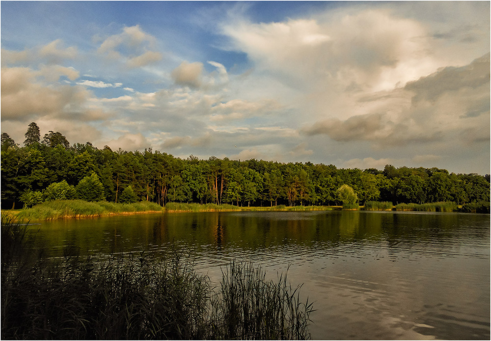 Фотографія Средина лета на озере... / Сергей Ситников / photographers.ua