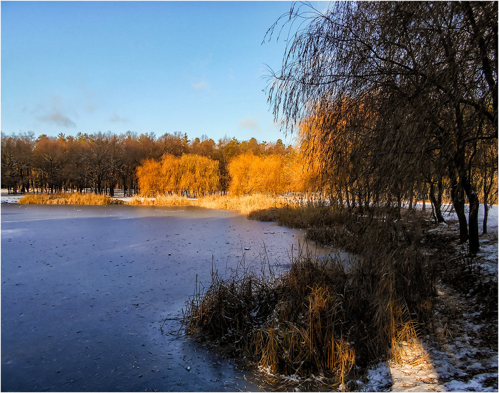 Фотографія Светлое начало зимы... / Сергей Ситников / photographers.ua