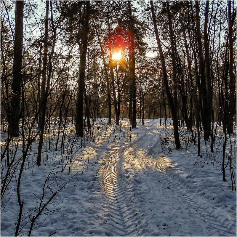 Фотографія Светлый путь трактора...) / Сергей Ситников / photographers.ua