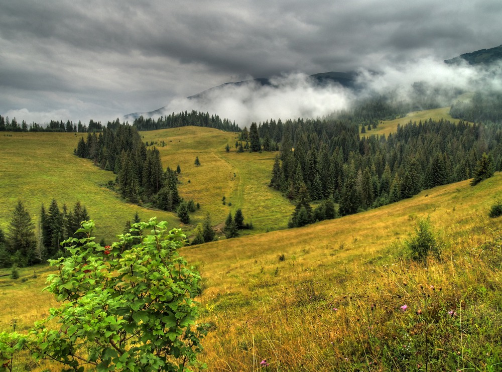 Фотографія Непогода в горах, непогода… / Вячеслав Ягодзинский / photographers.ua
