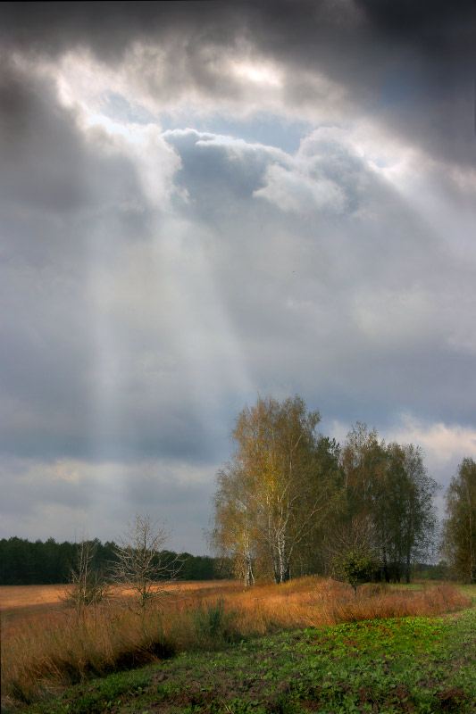 Фотографія *** / ВАЛЕРИЙ Шaйгородский / photographers.ua