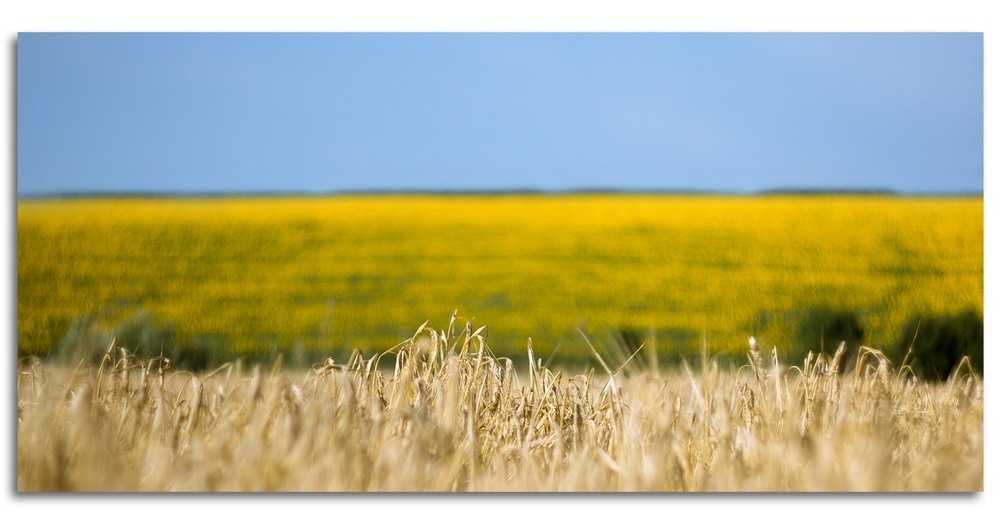 Фотографія Пейзаж / Vitaliy Kononov / photographers.ua