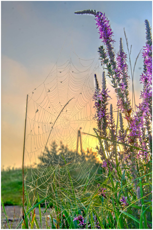 Фотографія Пейзаж / Олександр Білоцерківський / photographers.ua