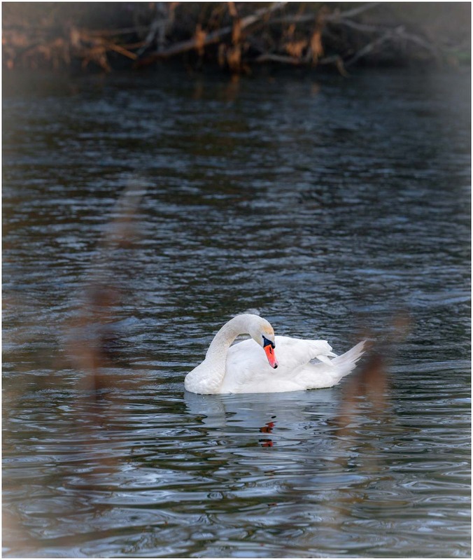Фотографія Пейзаж / Олександр Білоцерківський / photographers.ua