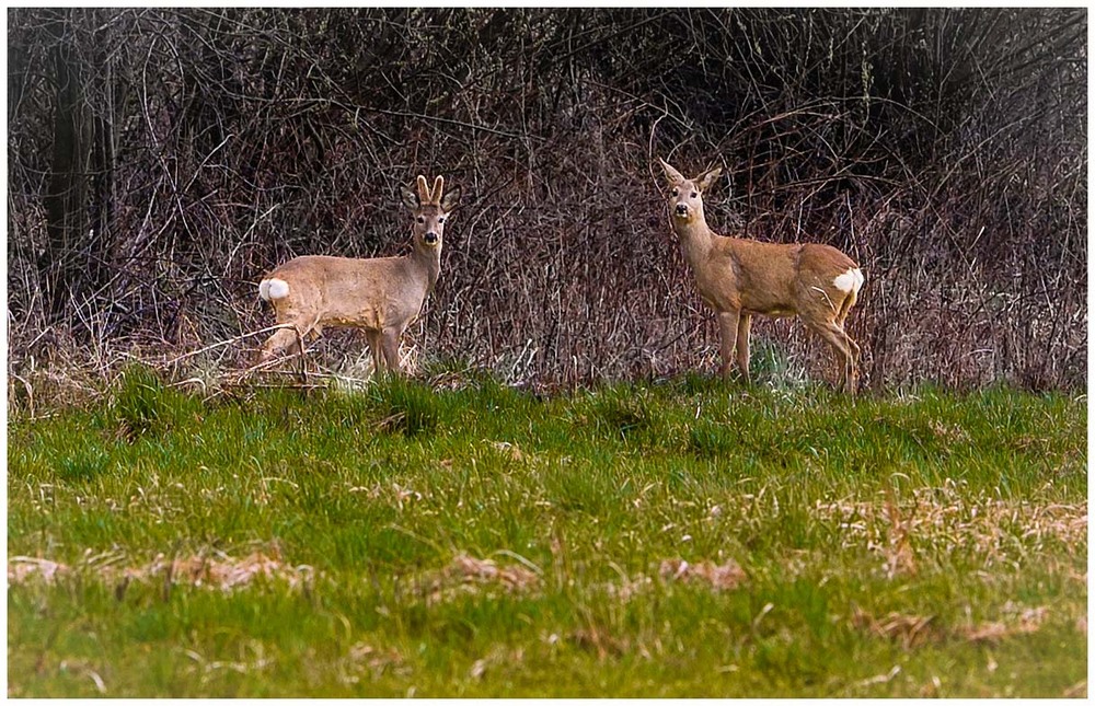 Фотографія Пейзаж / Олександр Білоцерківський / photographers.ua