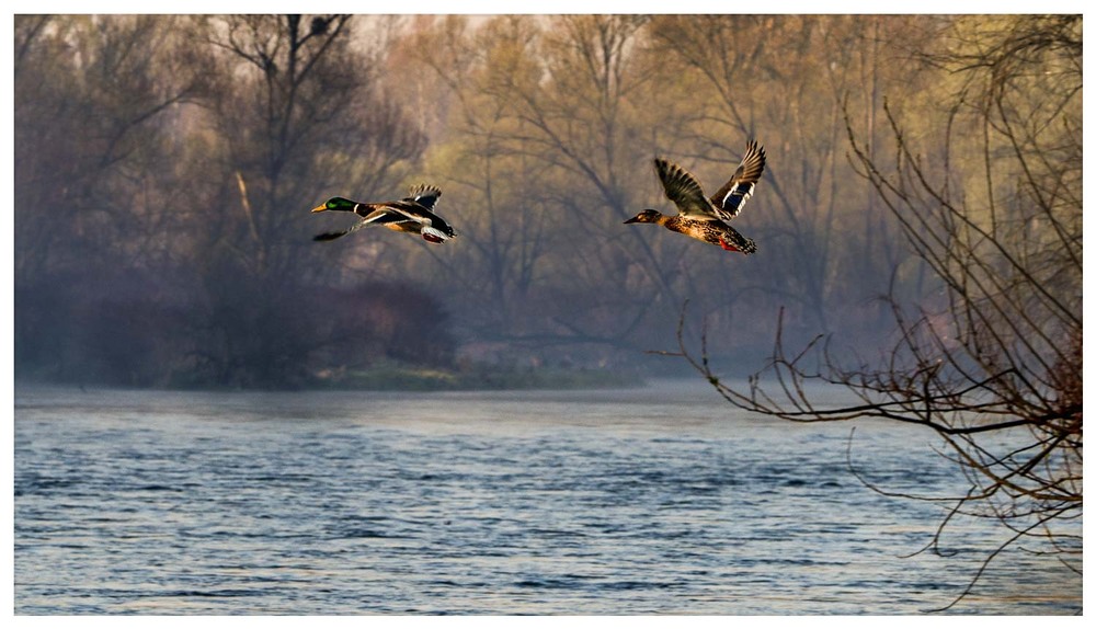 Фотографія Пейзаж / Олександр Білоцерківський / photographers.ua