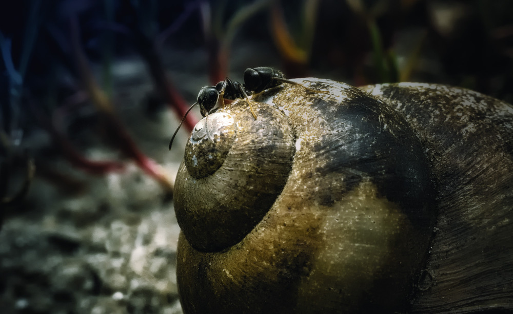 Фотографія ..WTF?!....Сиська или теремок?!...) / Yuriy Gubriy / photographers.ua