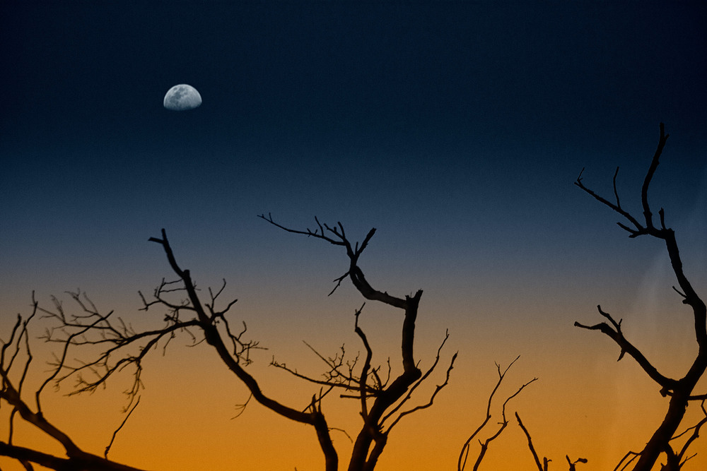 Фотографія Пейзаж / Yuriy Gubriy / photographers.ua