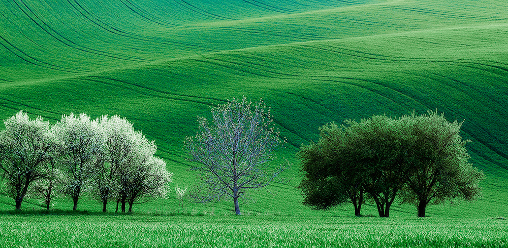 Фотографія Классика Моравии. / Людмила Булавина / photographers.ua