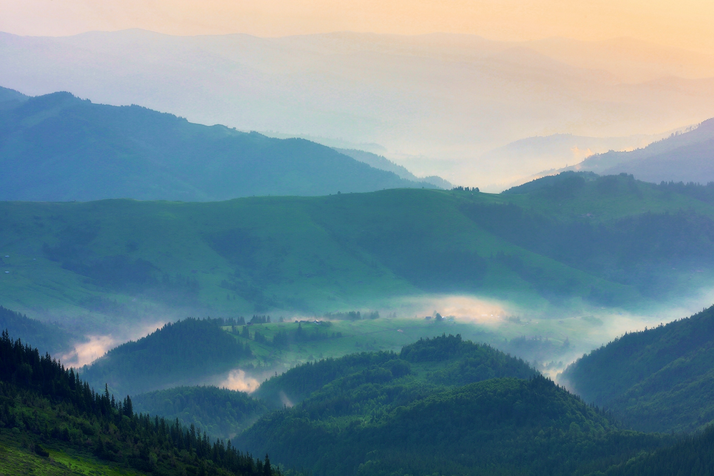 Фотографія Утро в тумане / Людмила Булавина / photographers.ua