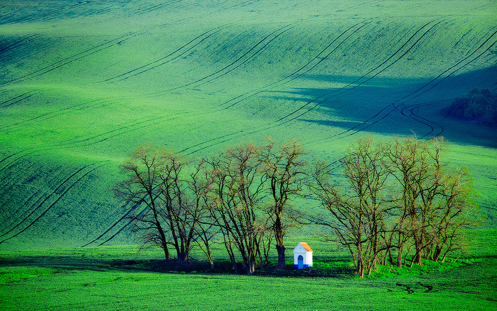 Фотографія Южная Моравия. / Людмила Булавина / photographers.ua