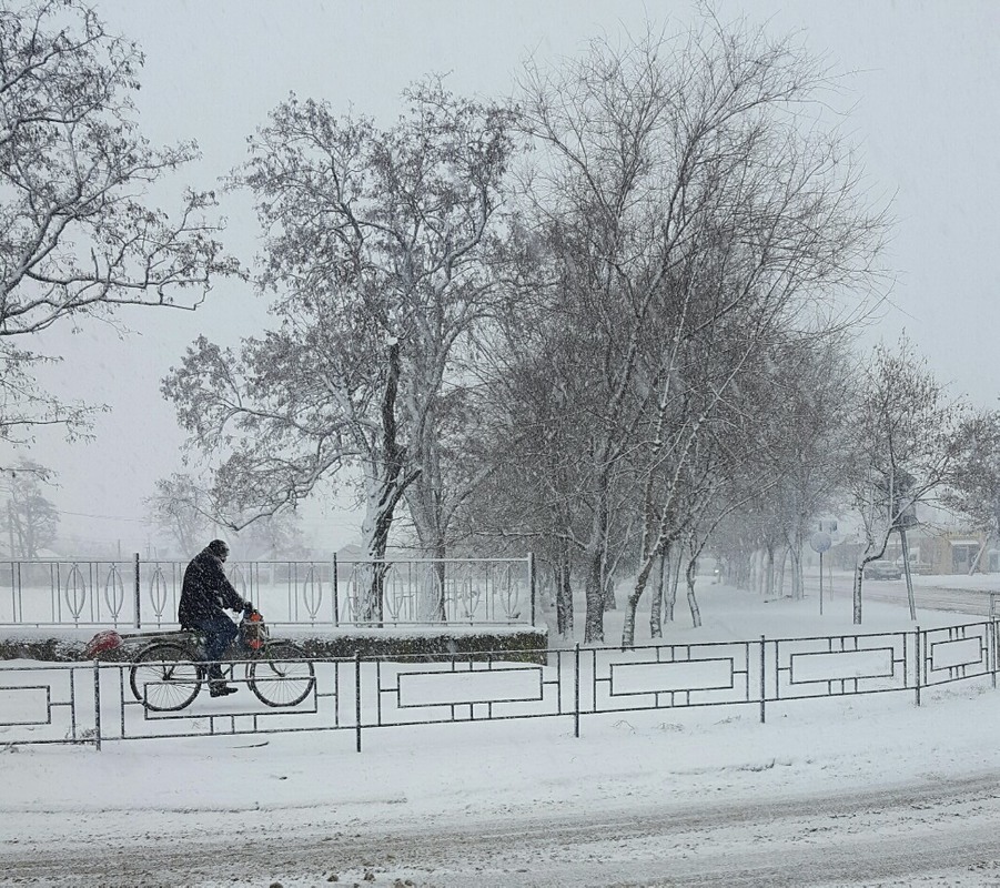 Фотографія а снег идет / Сергей Б. / photographers.ua