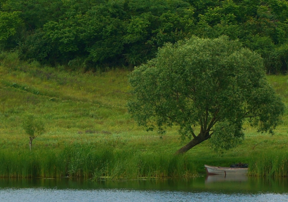 Фотографія *** / Сергій Б / photographers.ua