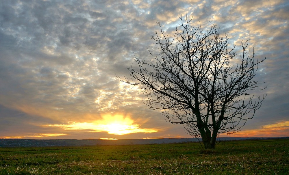 Фотографія * / Сергій Б / photographers.ua