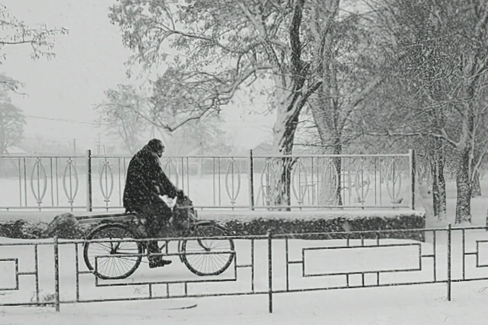 Фотографія Незламні! / Сергій Б / photographers.ua