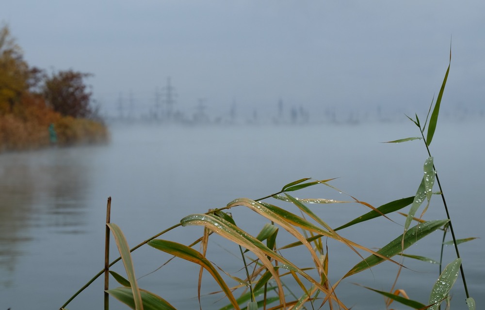 Фотографія *** / Сергій Б / photographers.ua