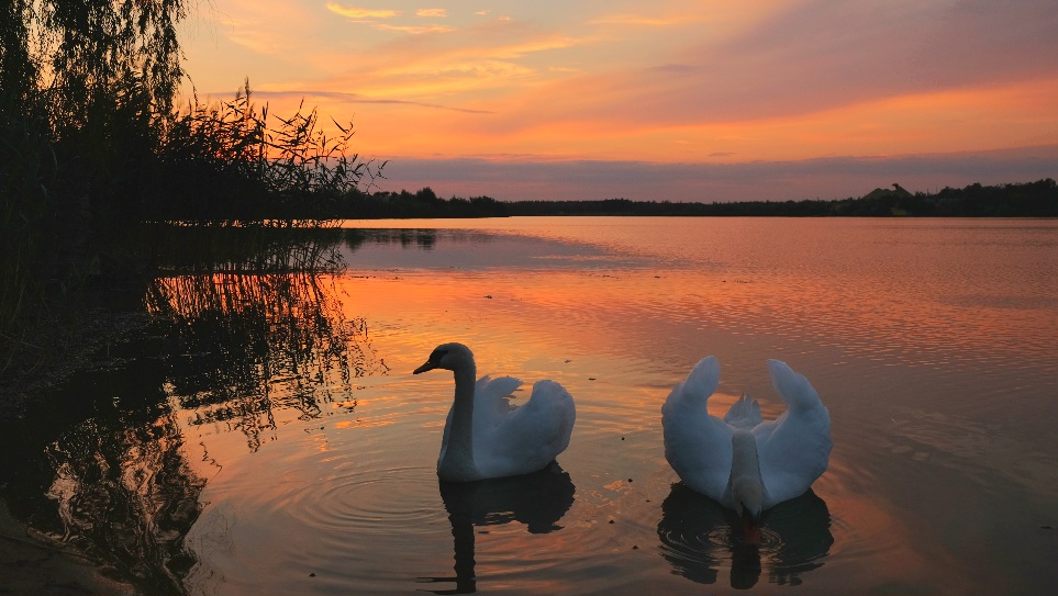 Фотографія *** / Сергій Б / photographers.ua