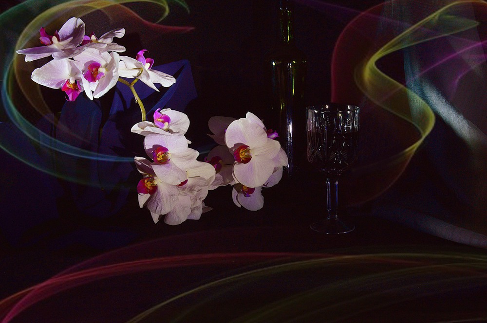Фотографія Вино и орхидеи / Наталия / photographers.ua