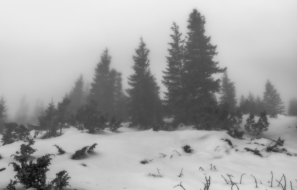Фотографія В черно-белом тумане. / Оксана / photographers.ua
