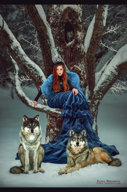Фотографія She - wolf / Елена Шевцова Бедакова / photographers.ua