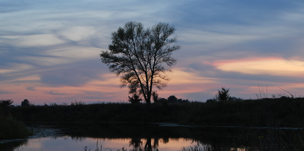 Фотографія Вечір на річці / Максим Нечай / photographers.ua