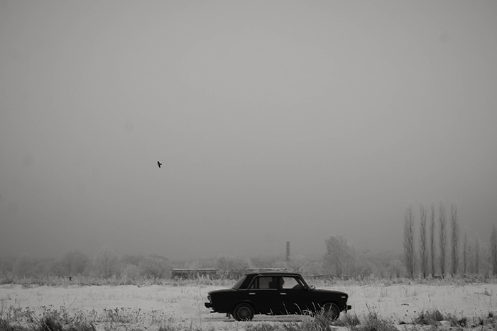 Фотографія Коли зима / Оксана Єфіменко / photographers.ua