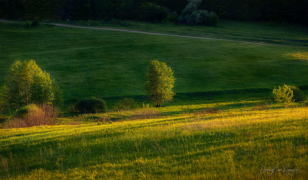 Фотографія Трохи про траву і дерева / Nam / photographers.ua