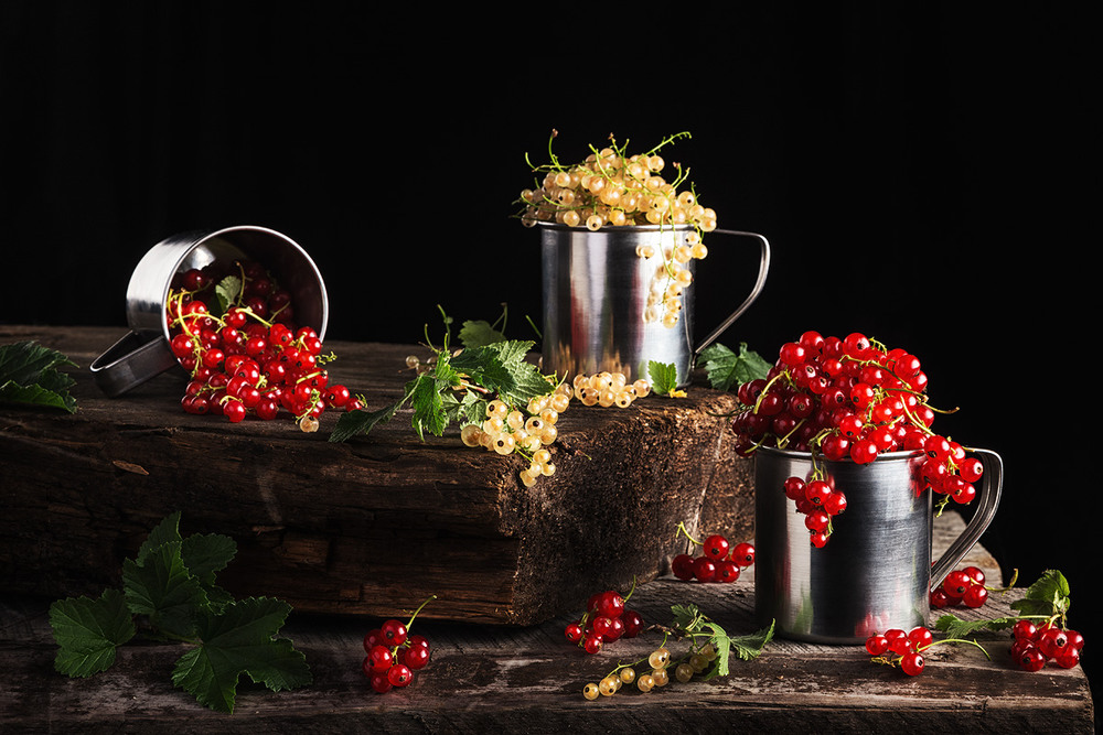 Фотографія Berries / Slava Galaka / photographers.ua