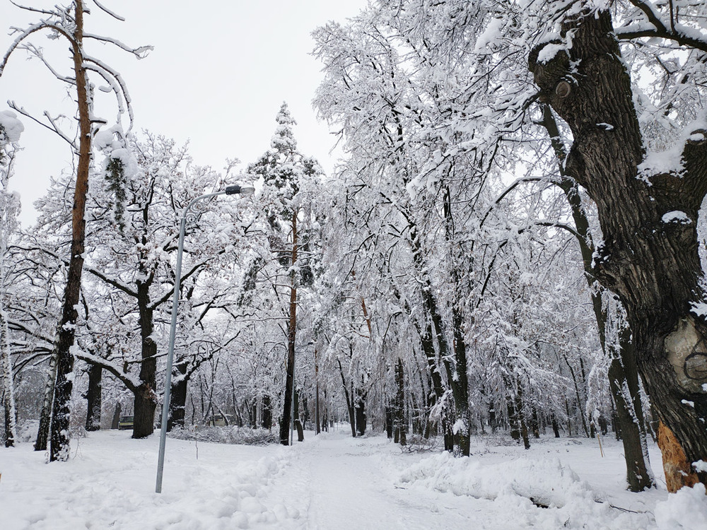 Фотографія Зимово! / Олена Іващенко / photographers.ua