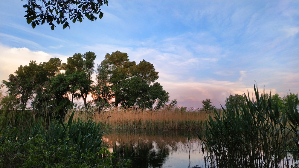 Фотографія Травневий ранок біля річки / Олена Іващенко / photographers.ua