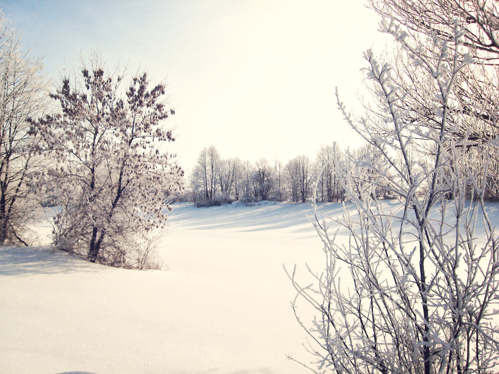 Фотографія Справжня холодна зима! / Олена Іващенко / photographers.ua