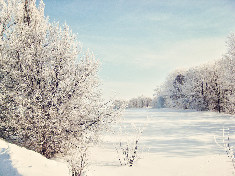 Фотографія Сніжна зима / Олена Іващенко / photographers.ua