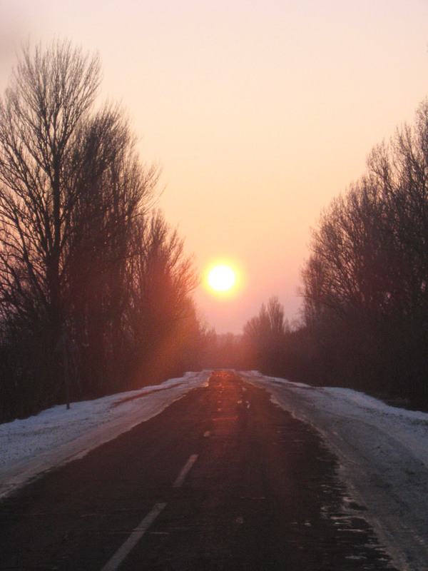 Фотографія Зимове сонце / Олена Іващенко / photographers.ua