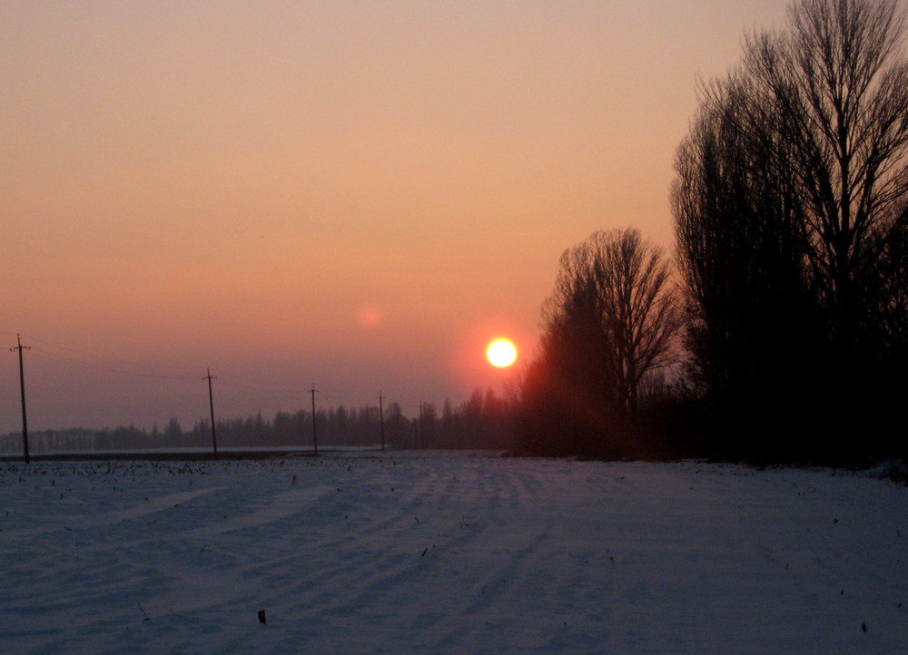 Фотографія Холодний вечір / Олена Іващенко / photographers.ua
