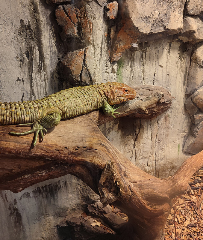 Фотографія Відпочинок / Олена Іващенко / photographers.ua