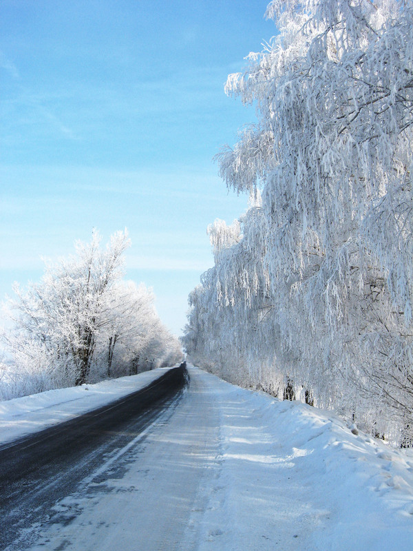 Фотографія Насичена зима! / Олена Іващенко / photographers.ua