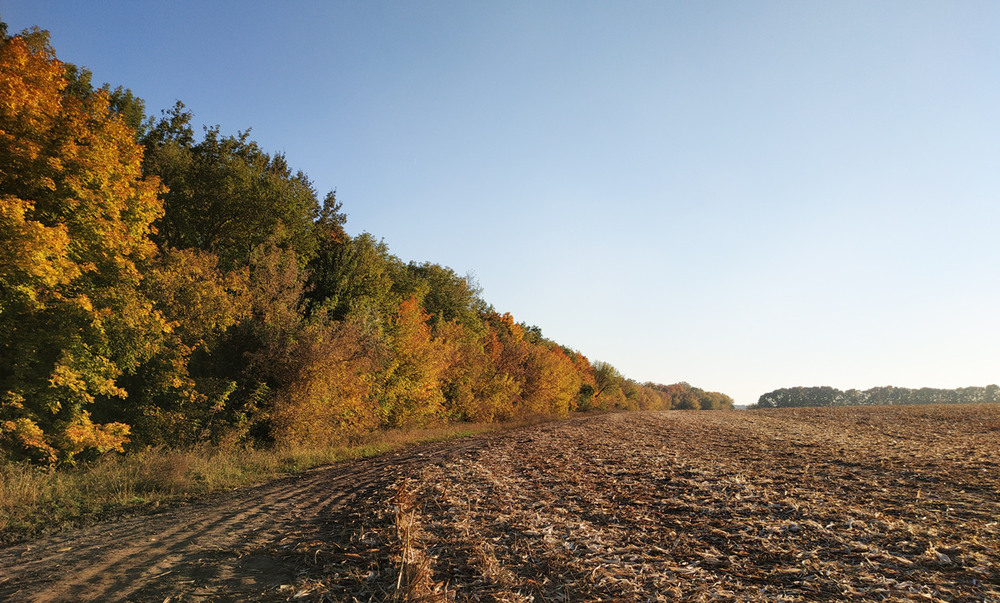 Фотографія Жовтнева природа / Олена Іващенко / photographers.ua