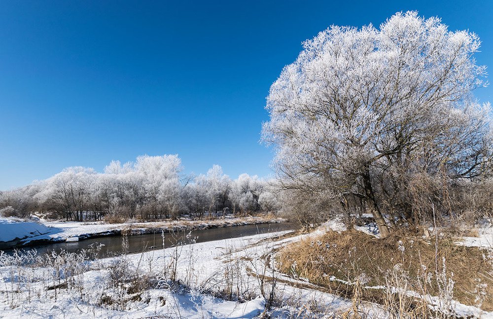 Фотографія зима / imv / photographers.ua