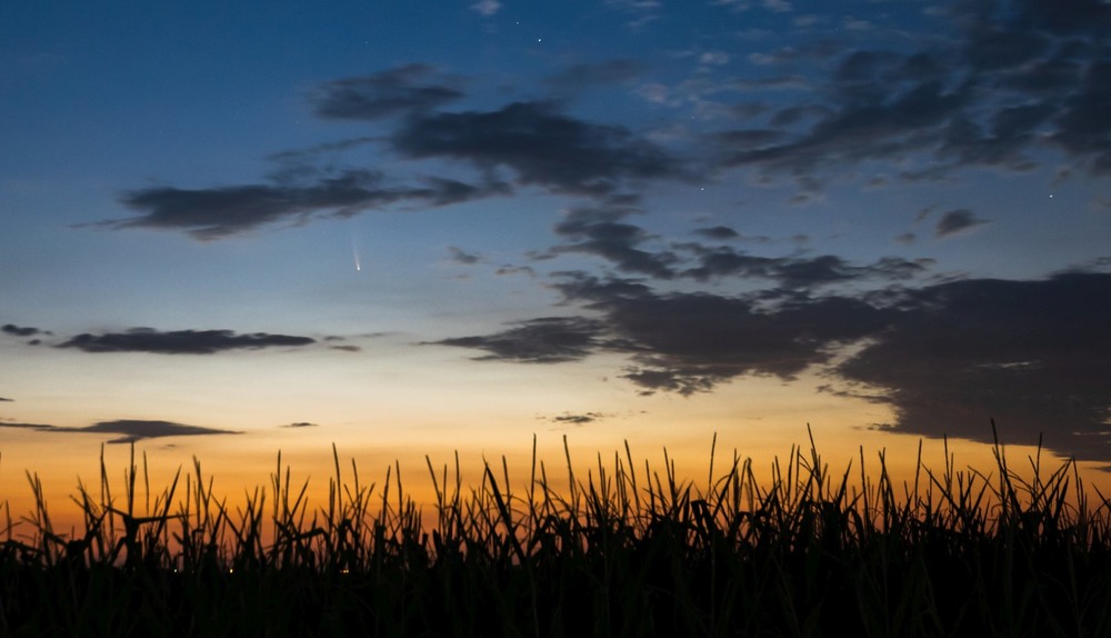 Фотографія C/2020 F3 (NEOWISE) над кукурузным полем :) / imv / photographers.ua