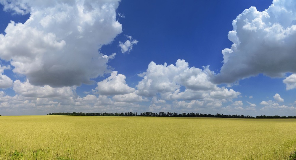 Фотографія За Мар'їнкою. / Рулевский Сергей Юрьевич / photographers.ua