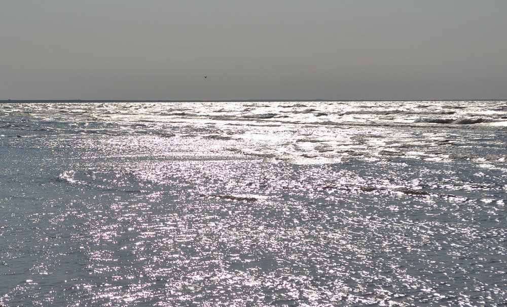 Фотографія Щедрая Юрмала / Рулевский Сергей Юрьевич / photographers.ua